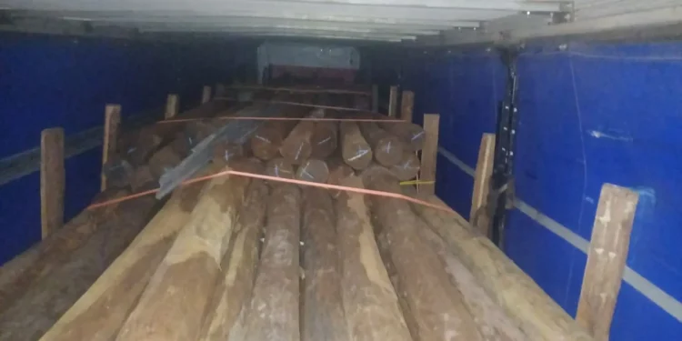 prf-apreende-70-m³-de-madeira-irregular-na-br-153,-em-goias