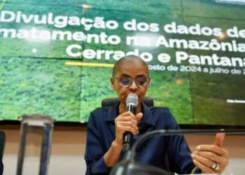 marina-silva-divulga-dados-sobre-queda-no-desmatamento