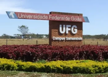 ufg-abre-concurso-com-33-vagas-e-salarios-de-ate-r$-4,9-mil
