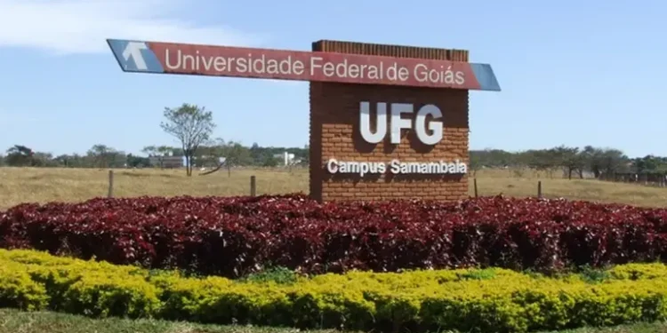 ufg-abre-concurso-com-33-vagas-e-salarios-de-ate-r$-4,9-mil