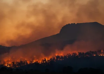 incendio-no-norte-da-espanha-atinge-parque-reconhecido-pela-unesco