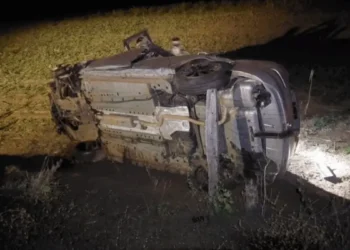 capivara-provoca-acidente-fatal-na-go-305-e-mata-motorista-em-catalao