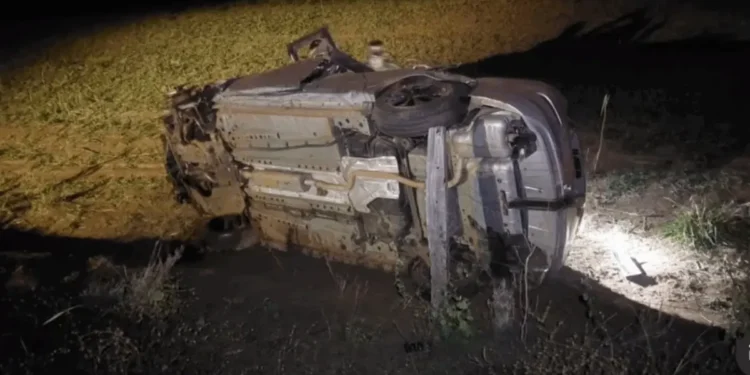 capivara-provoca-acidente-fatal-na-go-305-e-mata-motorista-em-catalao