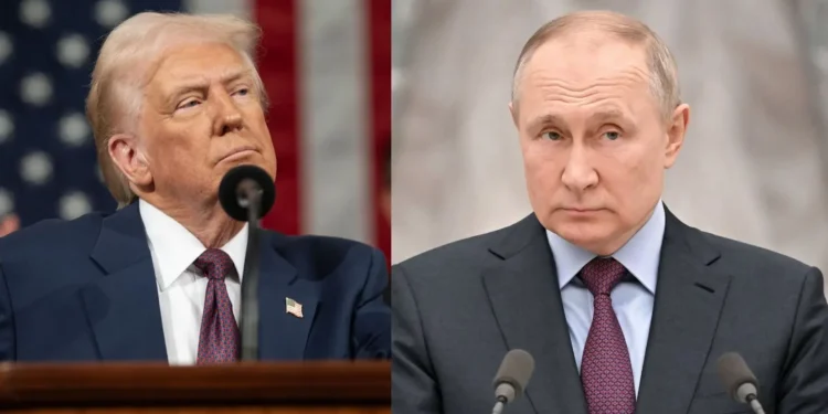 trump-e-putin-se-reunem-para-discutir-o-fim-da-guerra-na-ucrania,-sem-zelensky
