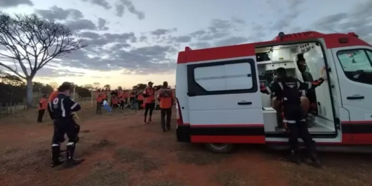 retiro-dos-legendarios-em-caldas-novas-e-interrompido-por-ataque-de-abelhas