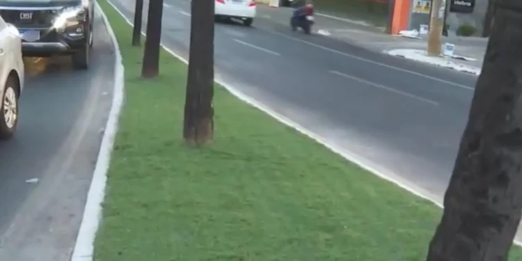 grama-sintetica-em-canteiros-de-goiania-divide-opinioes