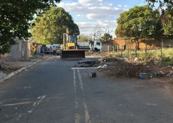 dez-cachorros-sao-encontrados-carbonizados-em-area-de-lixo-em-goiania