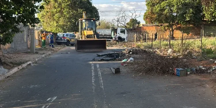 dez-cachorros-sao-encontrados-carbonizados-em-area-de-lixo-em-goiania