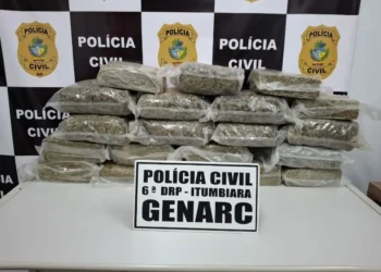 carga-de-skunk-avaliada-em-r$-500-mil-e-apreendida-em-itumbiara