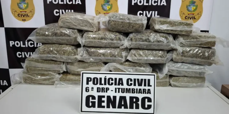 carga-de-skunk-avaliada-em-r$-500-mil-e-apreendida-em-itumbiara