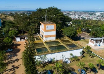 sae-catalao-lanca-concurso-publico-com-919-vagas-e-beneficios-atrativos