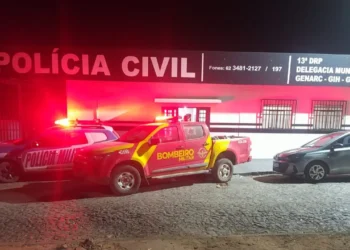 homem-e-preso-em-flagrante-por-provocar-incendio-proximo-ao-parque-estadual-de-nova-roma