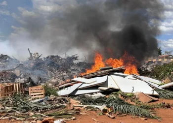 comurg-alerta-sobre-riscos-da-queima-de-lixo-e-folhagens