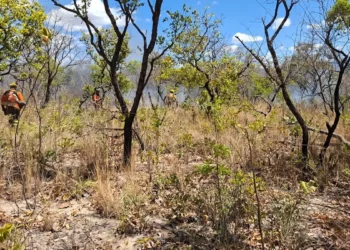 incendio-atinge-4,3-mil-hectares-em-sao-domingos