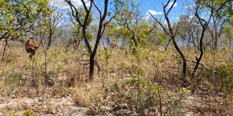 incendio-atinge-4,3-mil-hectares-em-sao-domingos