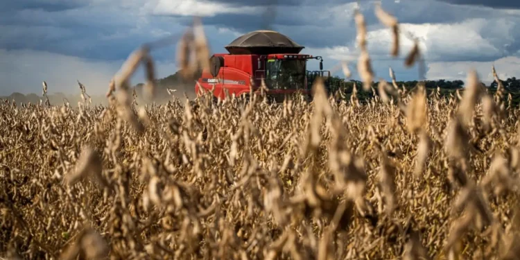 soja-goiana-bate-recorde-historico-e-consolida-estado-como-potencia-agricola