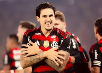apos-8-a-0-do-flamengo-contra-o-vitoria,-confira-as-maiores-goleadas-da-historia-do-brasileirao