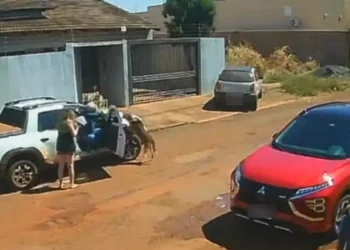oficial-que-atirou-em-cachorro-comparece-a-delegacia