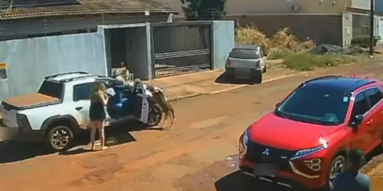 oficial-que-atirou-em-cachorro-comparece-a-delegacia