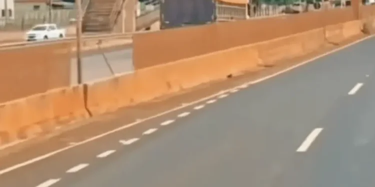 mulher-esfaqueia-ex-companheiro-se-joga-na-frente-de-carreta-em-acreuna