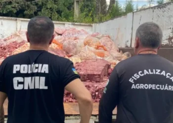 policia-civil-apreende-2,5-toneladas-de-carne-irregular-em-goiania