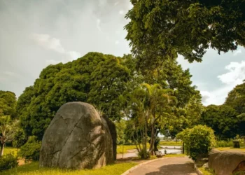 crianca-e-atacada-por-macaco-ao-voltar-da-escola-em-anapolis