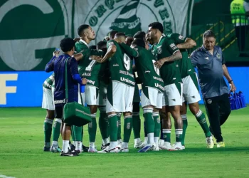 goias-x-botafogo-sp:-arbitragem,-escalacoes,-horario-e-onde-assistir