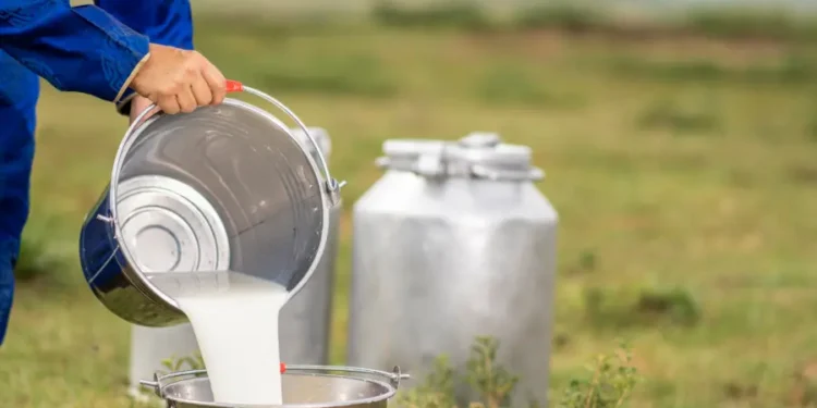 preco-do-leite-cai-em-goias-apos-sete-meses-de-alta-e-acende-alerta-para-produtores