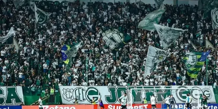 goias-x-botafogo-sp:-mais-de-8-mil-ingressos-ja-foram-vendidos-para-o-confronto;-veja-os-valores