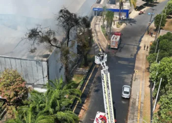 bombeiros-combatem-incendio-em-galpao-no-setor-jao,-em-goiania