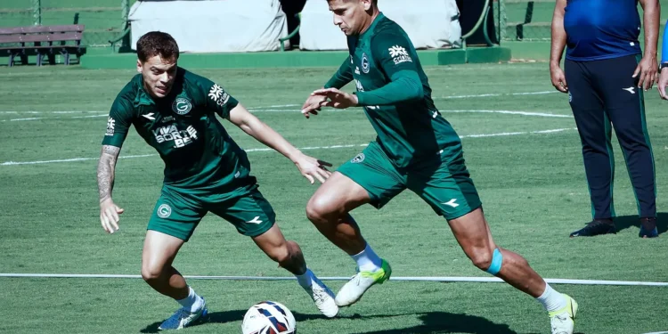 goias-acerta-saida-de-meia-para-clube-da-serie-c-no-penultimo-dia-da-janela