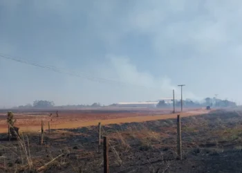 queimadas-aumentam-22%-e-afetam-rede-eletrica-em-goias