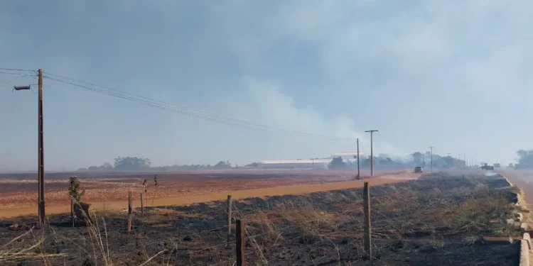 queimadas-aumentam-22%-e-afetam-rede-eletrica-em-goias