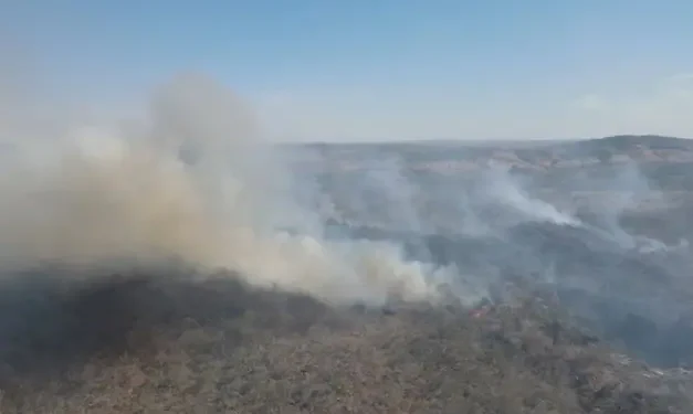 incendio-atinge-pirenopolis-e-ja-consome-milhares-de-hectares-de-vegetacao