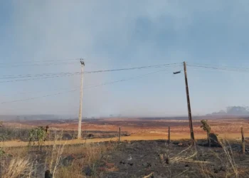 queimadas-crescem-mais-de-22%-e-impactam-rede-eletrica-goiana