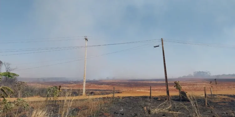 queimadas-crescem-mais-de-22%-e-impactam-rede-eletrica-goiana