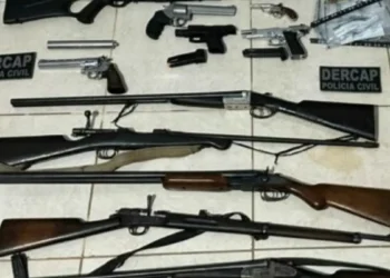 advogado-e-preso-em-goias-com-arsenal-de-15-armas-e-3-mil-municoes