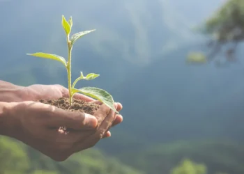 goiania-recebe-evento-para-impulsionar-a-economia-verde,-nesta-quinta
