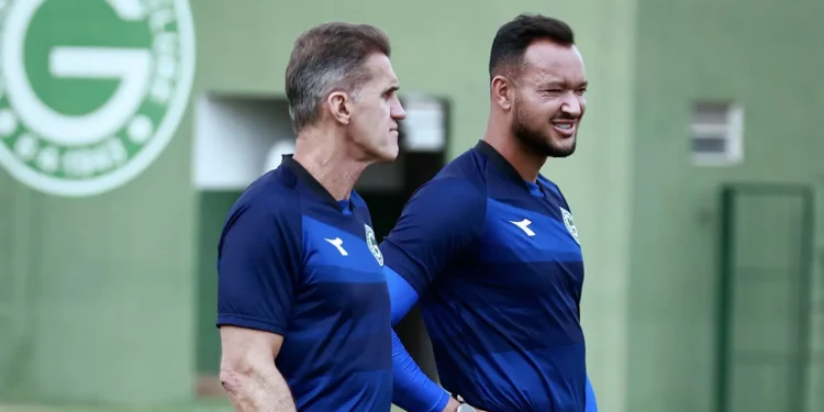 avai-x-goias:-arbitragem,-escalacoes,-horario-e-onde-assistir