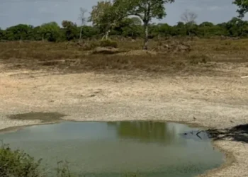 operacao-expoe-crimes-ambientais-no-lago-luiz-alves;-policia-investiga-degradacao