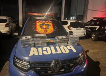 operacao-em-aparecida-de-goiania-apreende-r$-800-mil-em-cocaina