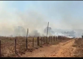 incendio-atinge-propriedades-rurais-em-hidrolandia-e-preocupa-moradores