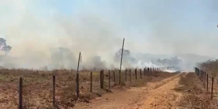incendio-atinge-propriedades-rurais-em-hidrolandia-e-preocupa-moradores