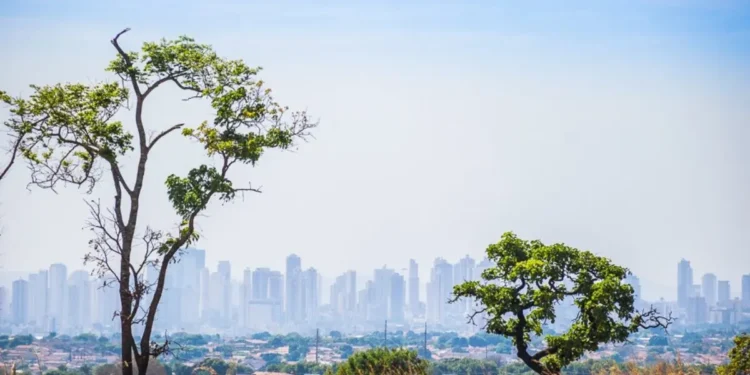 tempo-seco-castiga-estado-com-calor,-baixa-umidade-e-risco-de-queimadas
