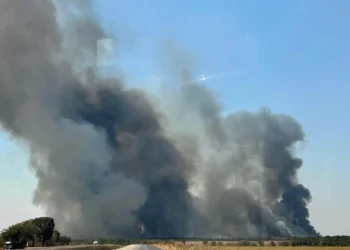 incendio-em-canavial-as-margens-da-br-060-mobiliza-bombeiros-e-causa-fumaca-na-pista