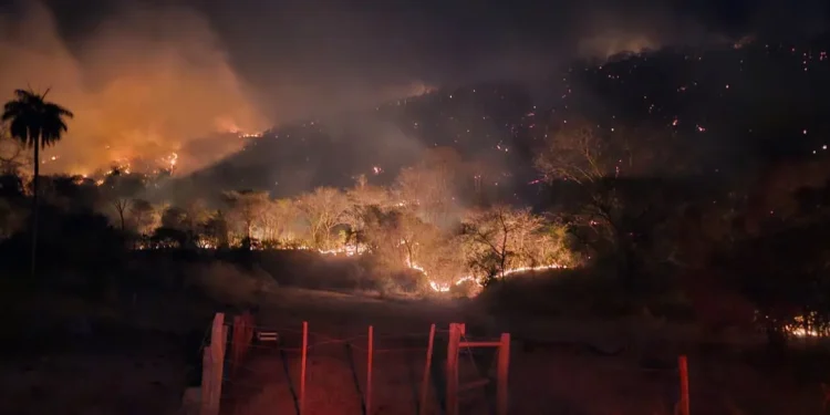 maior-incendio-florestal-do-brasil-em-2025-e-apagado-pelos-bombeiros-de-goias