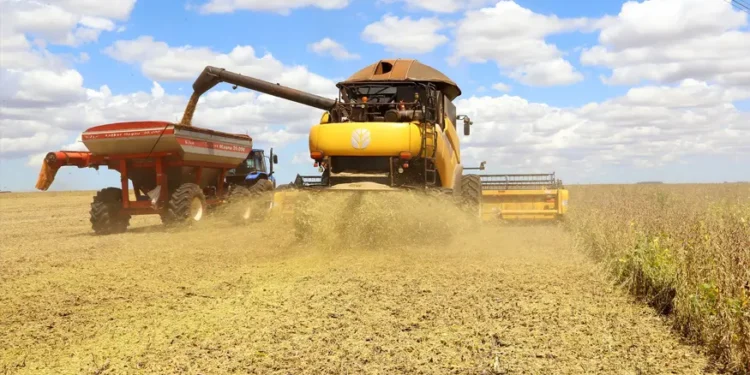 cristalina-e-rio-verde-estao-entre-os-10-maiores-produtores-agricolas-do-brasil-em-2024