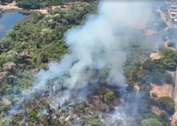 incendio-atinge-jardim-botanico-de-goiania-e-ameaca-fauna-e-vegetacao