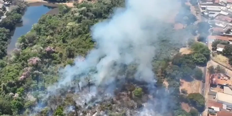 incendio-atinge-jardim-botanico-de-goiania-e-ameaca-fauna-e-vegetacao