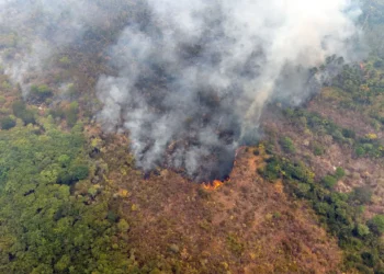 brasil-registra-queda-historica-de-queimadas-na-amazonia-em-2025